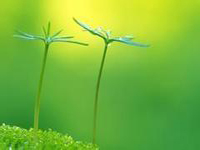 南寧市召開創(chuàng)國衛(wèi)先進(jìn)單位及個人表彰大會