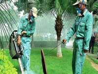 2013廣西第十二屆人大政協兩會接待用車消毒