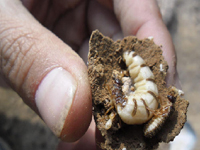 祝賀康凈公司通過ISO9001:2008質量管理體系認證