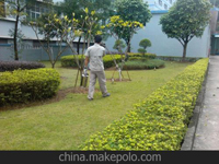 南寧第45屆體操世界錦標(biāo)賽主賽場、訓(xùn)練場病媒生物防制工作